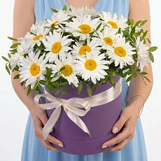 21 Крупная Ромашка в коробке