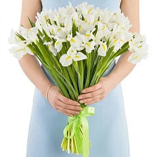 35 Белых Ирисов под ленту