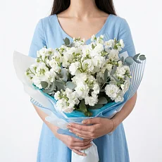 17 Белых Маттиол в упаковке