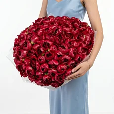 101 Красный Пион в упаковке
