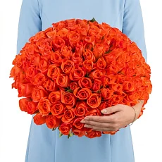 151 Ярко-Оранжевая