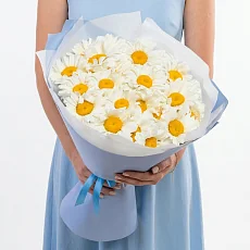 27 Крупных Ромашек в упаковке