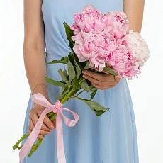 5 Пионов Сара Бернар