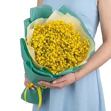 9 Желтых Гипсофил