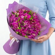 19 Лиловых Альстромерий в упаковке