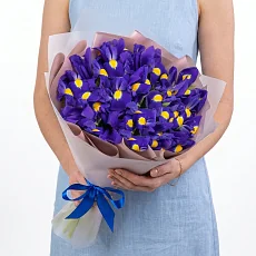 15 Синих Ирисов в упаковке