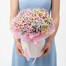 Гипсофила радужная в коробке