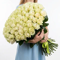 101 роза Эквадор 60 см