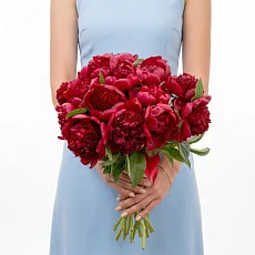 15 Красных Пионов