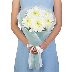 5 Игольчатых Хризантем