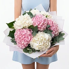 7 Бело-Розовых Гортензий