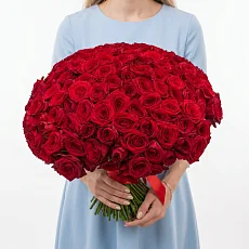 151 Бордовая Роза