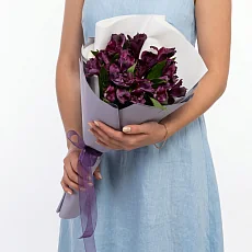 5 Фиолетовых Альстромерий