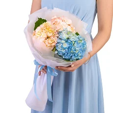 3 Нежные Гортензии