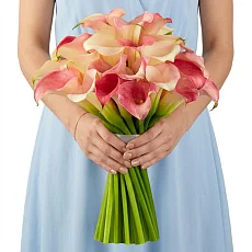 Бело розовая Калла 35 шт