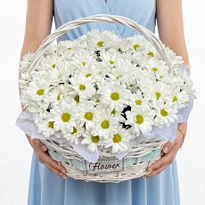 Снежные Хризантемы в Корзине