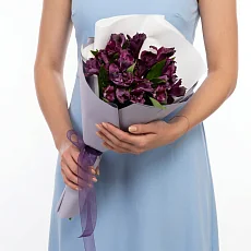5 Фиалковых Альстромерий в упаковке