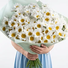 101 Крупная Ромашка