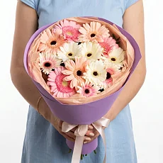 13 Разноцветных Гербер