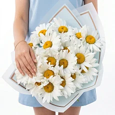 Букет из 17 крупноголовых ромашек