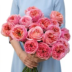 19 Роз Пинк Экспрешн