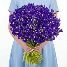 151 Синий Ирис под ленту