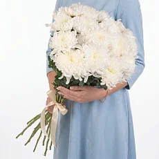 Кремовые Хризантемы под ленту