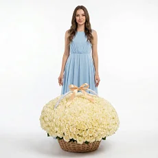 501 Роза белого цвета премиум