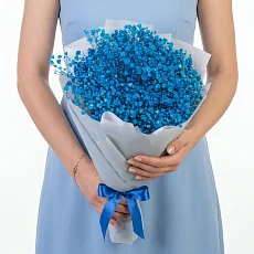 7 Синих Гипсофил