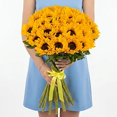 25 Подсолнухов