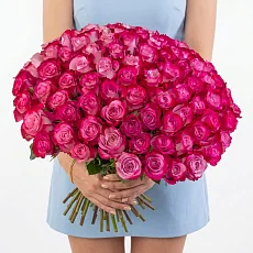 101 Роза Дип Перпл