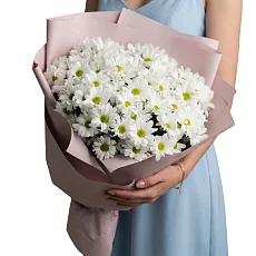 11 Кустовых Хризантем Ромашка Белых в упаковке