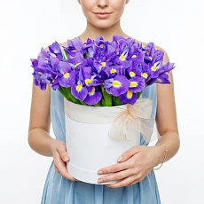 Шляпная коробка "51 ирис"