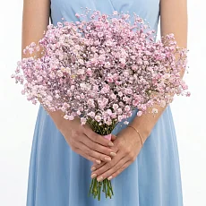 Букет невесты нежной розовой гипсофилы