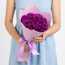 15 фиолетовых гвоздик