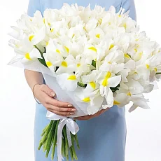 51 Белый Ирис в упаковке