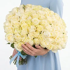 101 Кремовая роза