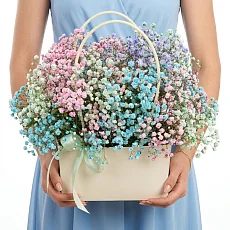 Разноцветная гипсофила в сумке