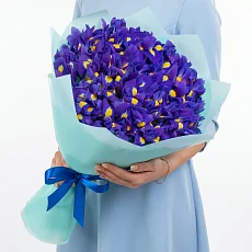 51 Синий Ирис в упаковке