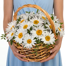 15 Крупных Ромашек в корзине