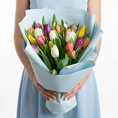 Букет из 21 Тюльпан Микс