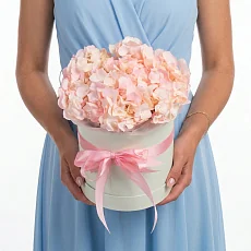 1 Розовая Гортензия в коробке