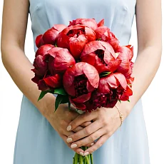 Букет невесты 11  красных пионов
