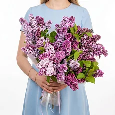 15 веток сирени в дизайнерской упаковке