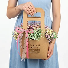 Гипсофила радужная в стильной сумке