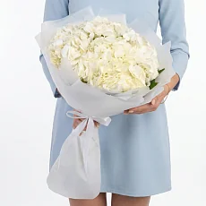 5 Белых Гортензий