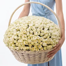 501 Белая Роза в корзине