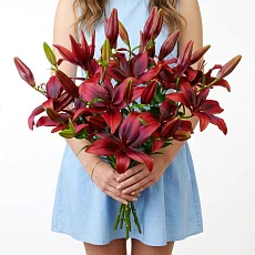 15 Красных Лилий