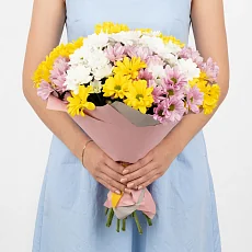 15 Весенних Хризантем в упаковке