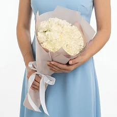 15 Светлых Диантусов